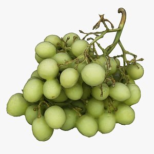 Bunch of Grapes 01