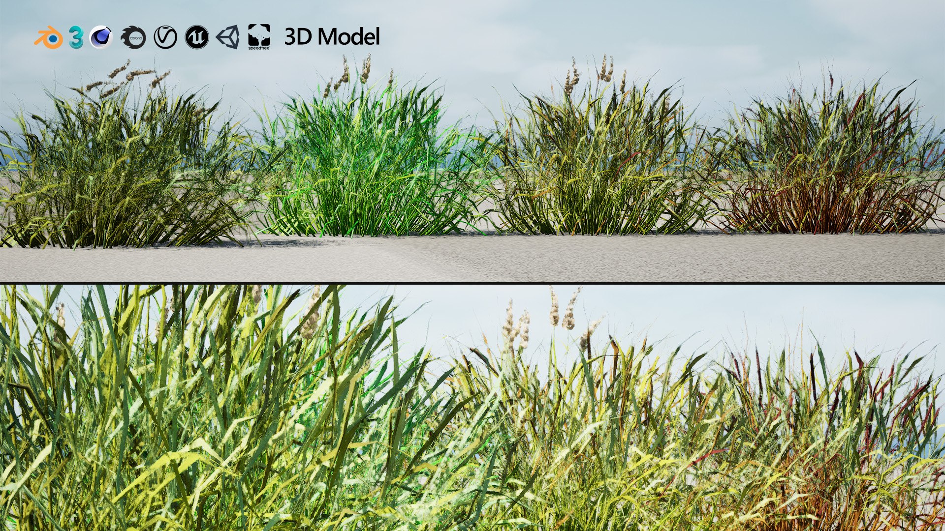 3D Realistic Grass 3D Model model https://p.turbosquid.com/ts-thumb/Fv/WzyYsr/9r/artcover02/jpg/1722428802/1920x1080/fit_q87/326d3a0a3c5f0fdf389b0f0f3929f43e15951f07/artcover02.jpg