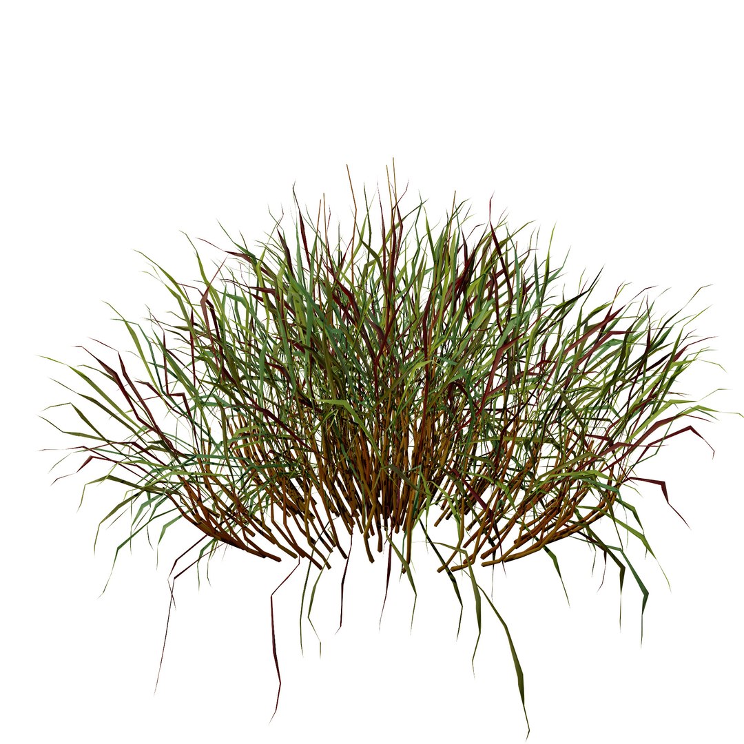 3D Realistic Grass 3D Model model https://p.turbosquid.com/ts-thumb/Fv/WzyYsr/Qa/grasswithwinterseasons/jpg/1722428813/1920x1080/fit_q87/056d5d7577a46eb72aaf8ac8397a0229aa13ccad/grasswithwinterseasons.jpg