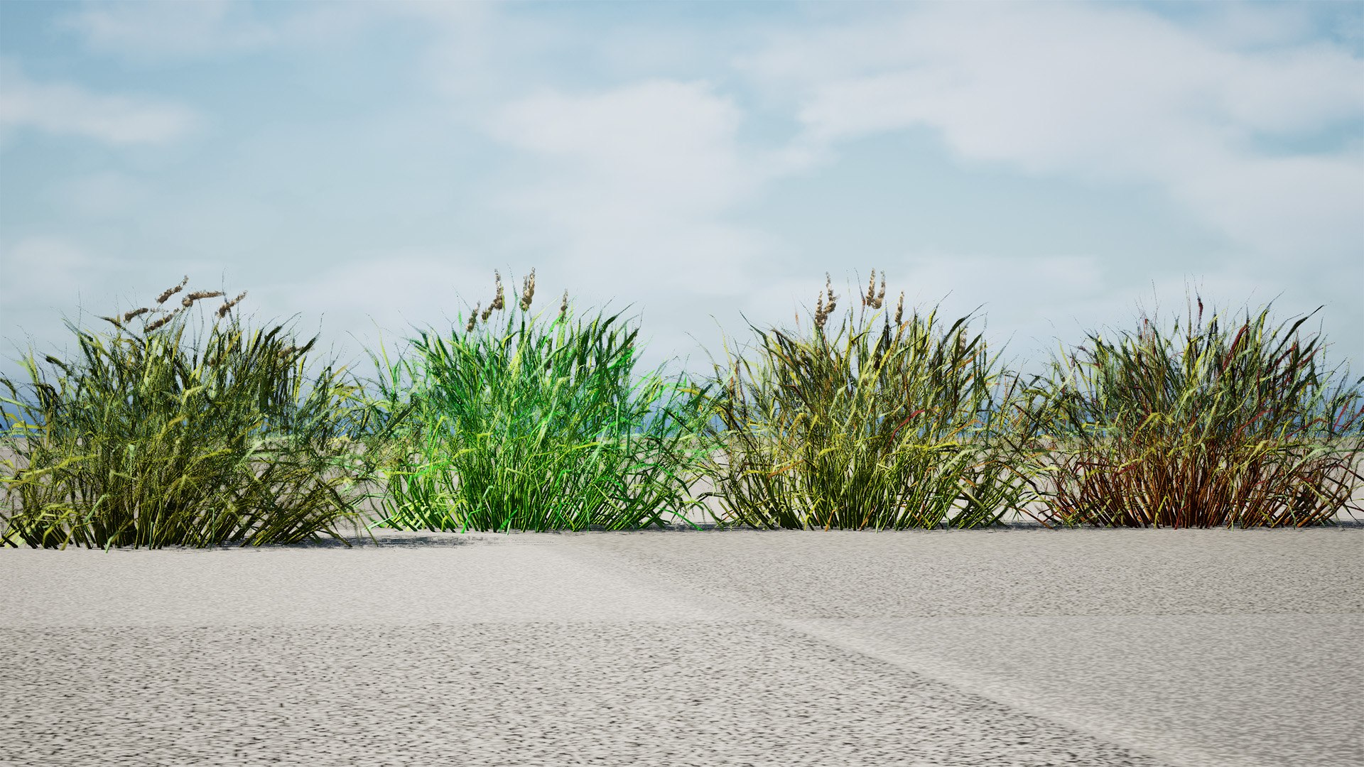 3D Realistic Grass 3D Model model https://p.turbosquid.com/ts-thumb/Fv/WzyYsr/Sf/highresscreenshot00001/jpg/1722428811/1920x1080/fit_q87/b0a7fc59323d20b3c030a44b1f36efdb52893f6f/highresscreenshot00001.jpg