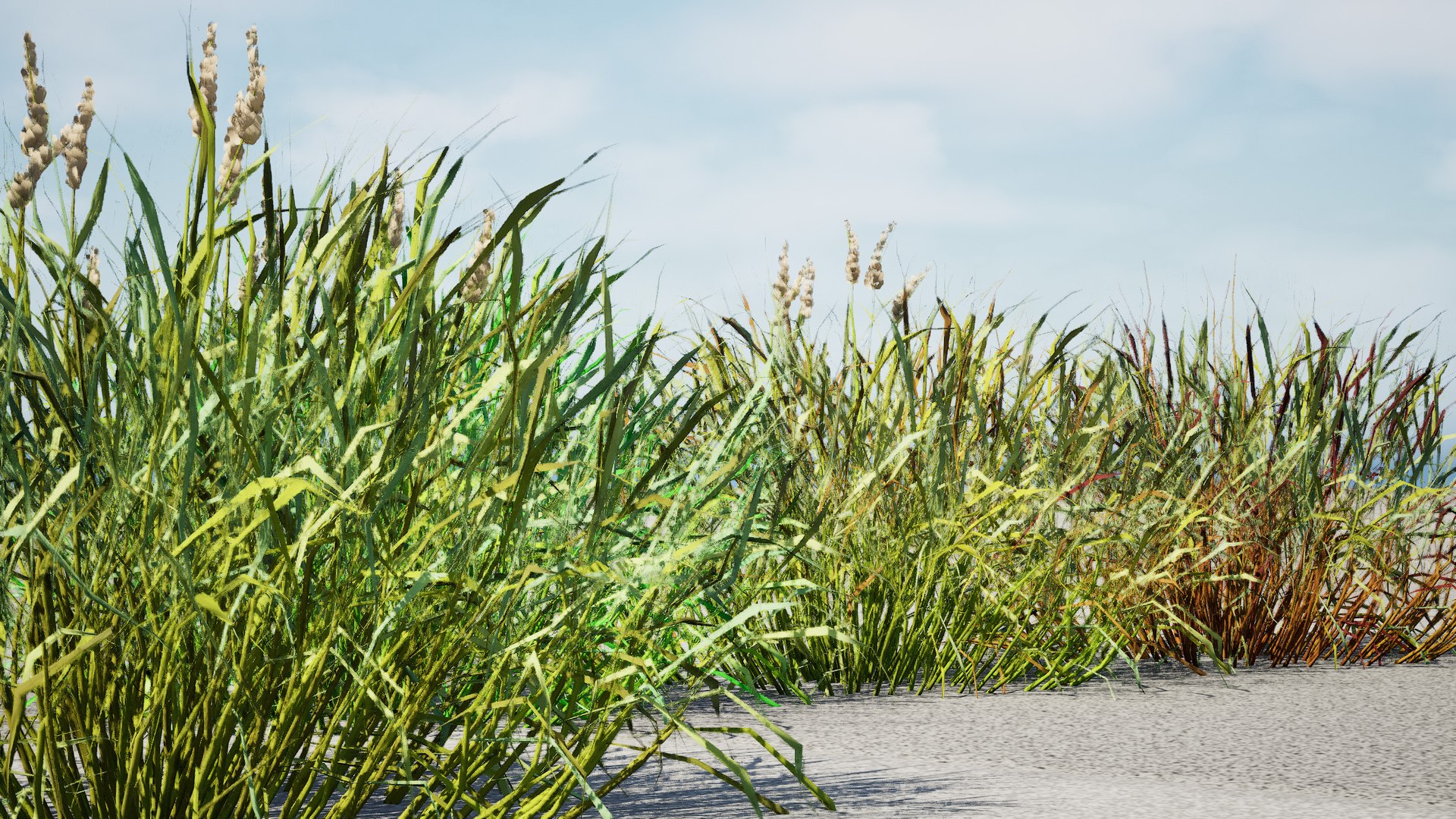 3D Realistic Grass 3D Model model https://p.turbosquid.com/ts-thumb/Fv/WzyYsr/WO/z03highresscreenshot00002/jpg/1722428811/1920x1080/fit_q87/771d406095232ea3d3b31007dffec615eaeb1e2d/z03highresscreenshot00002.jpg