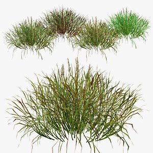 3D Realistic Grass 3D Model model
