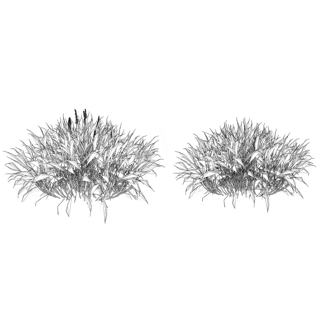 3D Realistic Grass 3D Model model https://p.turbosquid.com/ts-thumb/Fv/WzyYsr/xp/wire/jpg/1722428814/1920x1080/fit_q87/8315ed4de2ca2f65b91cadde383b00358ed45d0d/wire.jpg
