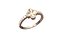 Anillo de trébol