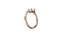 Anillo de trébol