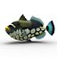 fishes 4 3D model