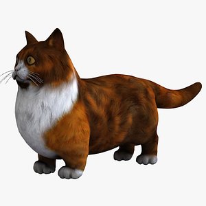 munchkin cat animal 3d model