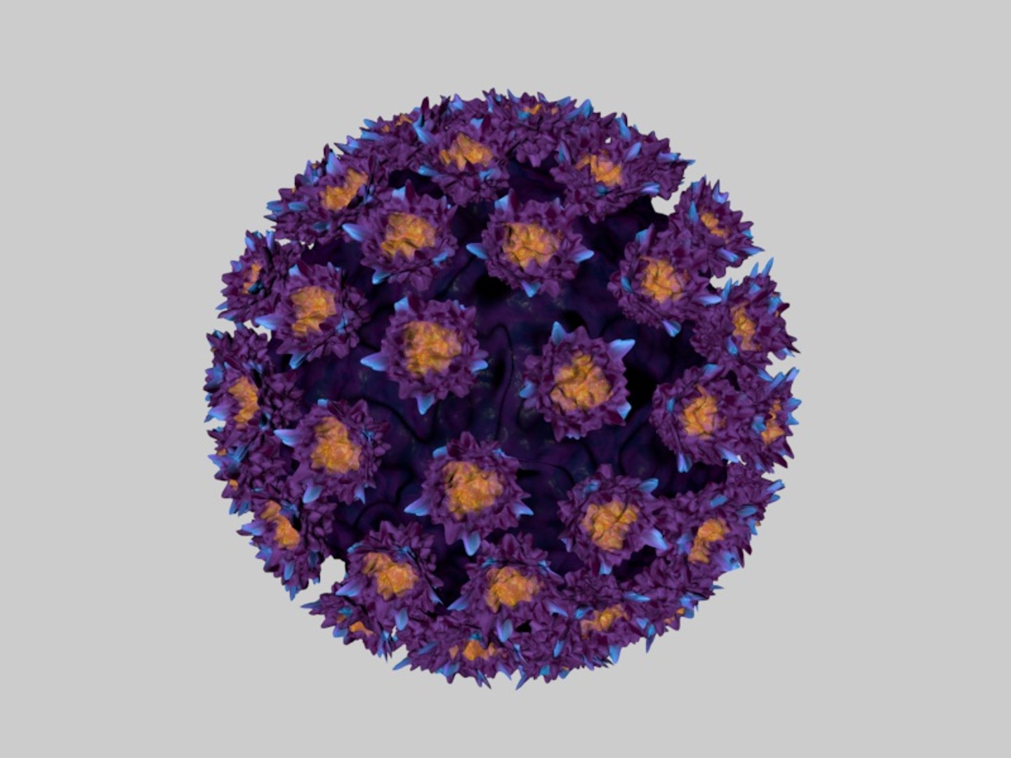 3d C4d Human Papilloma Virus Cell