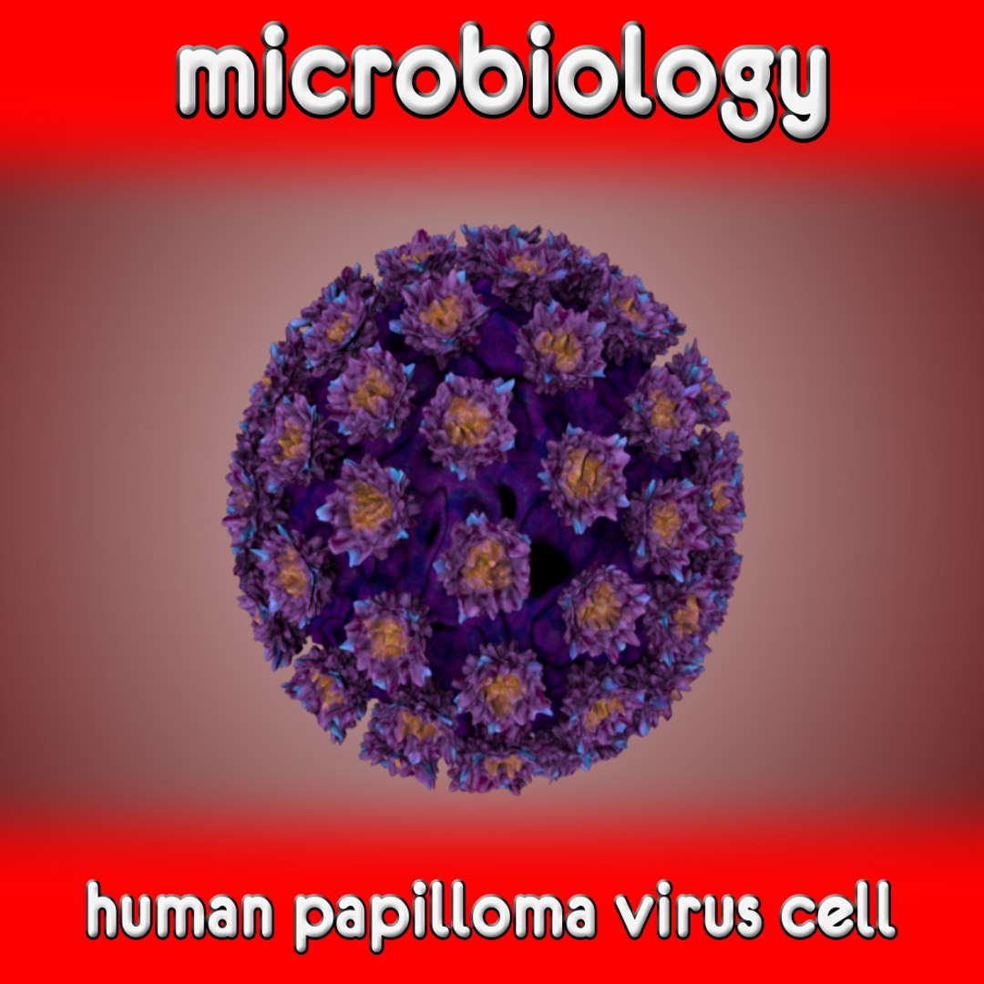 3d C4d Human Papilloma Virus Cell