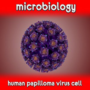 3d c4d human papilloma virus cell