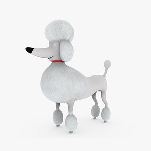 3D Cartoon white Poodle