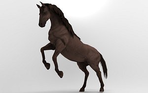 Horse 29 Animations 3D