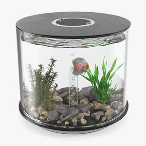 Aquarium Square Fish Net 3D Model $19 - .3ds .blend .c4d .fbx .max