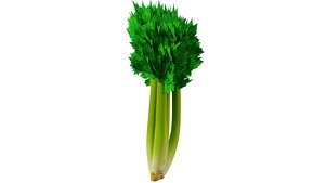 3D Celery