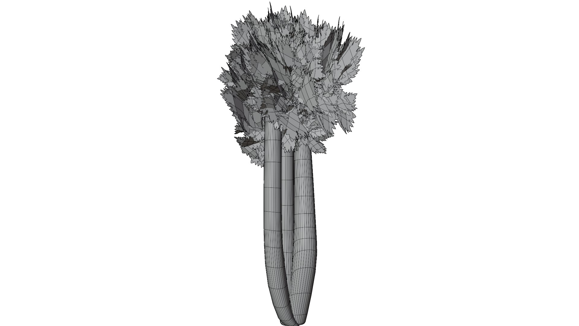 3D Celery https://p.turbosquid.com/ts-thumb/Fw/Ei7unm/jZ/13/png/1716211353/1920x1080/fit_q87/7301a3c437575cab06d2811e3924c9beb2278729/13.jpg