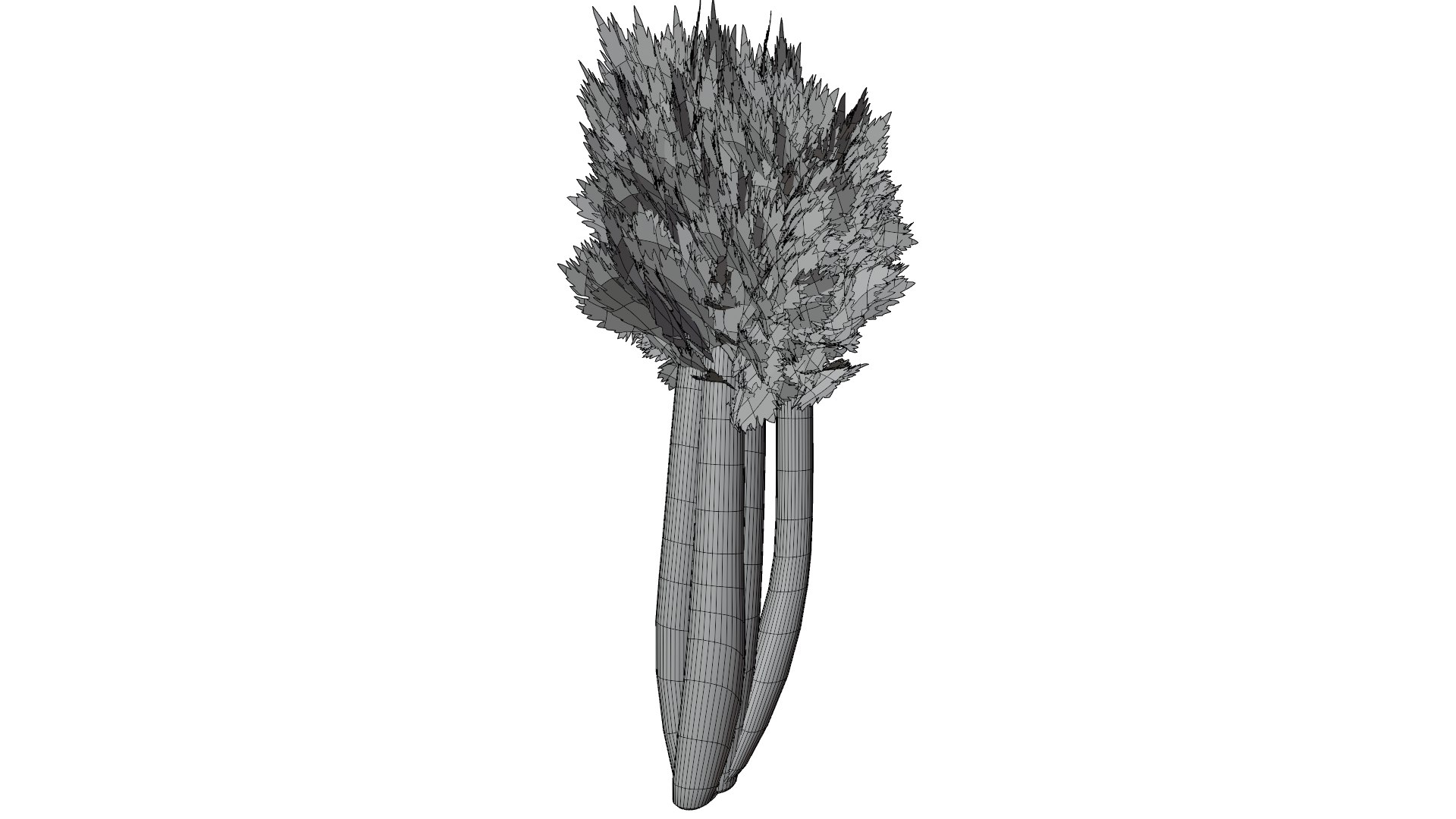 3D Celery https://p.turbosquid.com/ts-thumb/Fw/Ei7unm/q7/10/png/1716211350/1920x1080/fit_q87/64acd2198bea1a929c0b094ff169bdb68bb1bbae/10.jpg