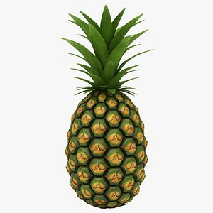 Pineapple (Color 2)