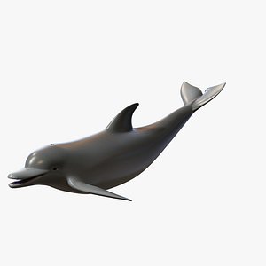 Bottlenose Dolphin - Rigged Animated PBR