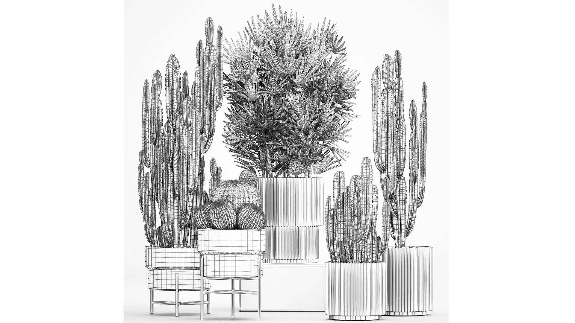 3D Barrel cactus Cereus cactus set in flowerpots 1228 model https://p.turbosquid.com/ts-thumb/Fw/WgByds/6V/1plants1403202309/jpg/1678972689/1920x1080/fit_q87/741f54dcc2858dac474716bce2d6321e0b985ea1/1plants1403202309.jpg