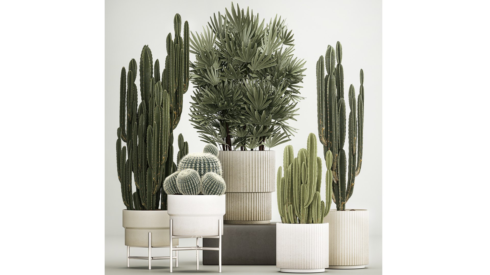 3D Barrel cactus Cereus cactus set in flowerpots 1228 model https://p.turbosquid.com/ts-thumb/Fw/WgByds/RM/1plants1403202302/jpg/1678972684/1920x1080/fit_q87/e344611da40e8a005764d962113a19c6a0d12488/1plants1403202302.jpg