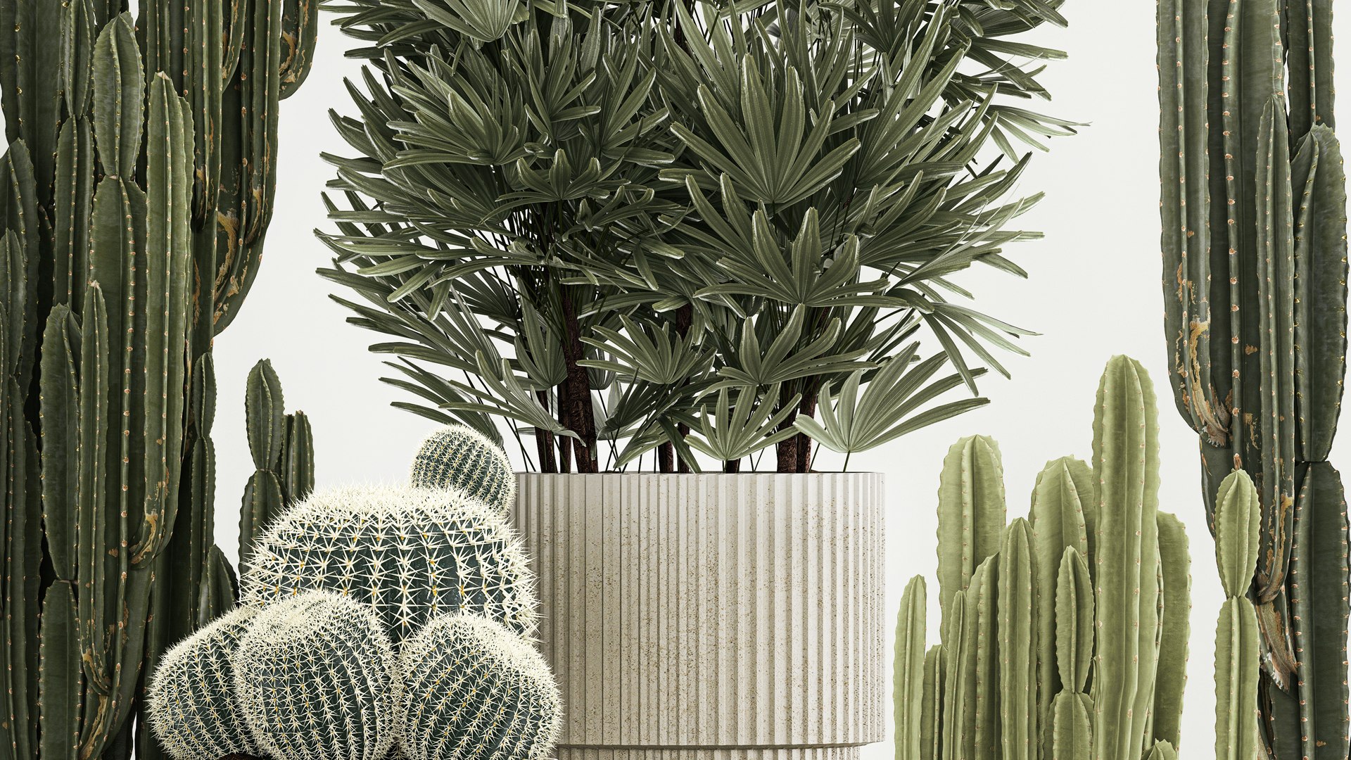 3D Barrel cactus Cereus cactus set in flowerpots 1228 model https://p.turbosquid.com/ts-thumb/Fw/WgByds/sO/1plants1403202305/jpg/1678972686/1920x1080/fit_q87/b0465ad6630780096d2b5b42fc65c9d31ccd58dc/1plants1403202305.jpg
