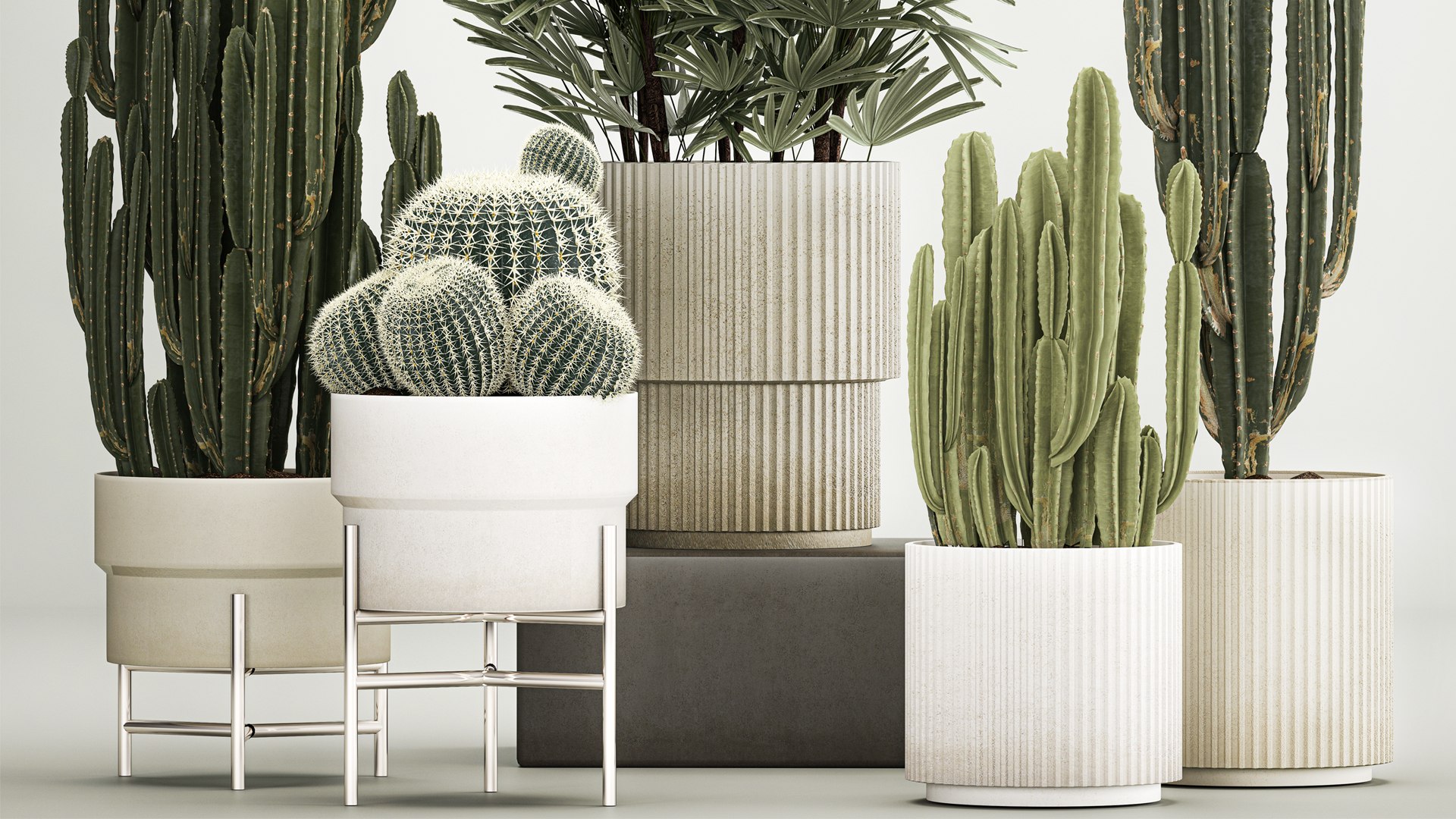 3D Barrel cactus Cereus cactus set in flowerpots 1228 model https://p.turbosquid.com/ts-thumb/Fw/WgByds/zi/1plants1403202304/jpg/1678972684/1920x1080/fit_q87/ccd9d1ccfc8164aa471d6ccaed7366c9485f502c/1plants1403202304.jpg