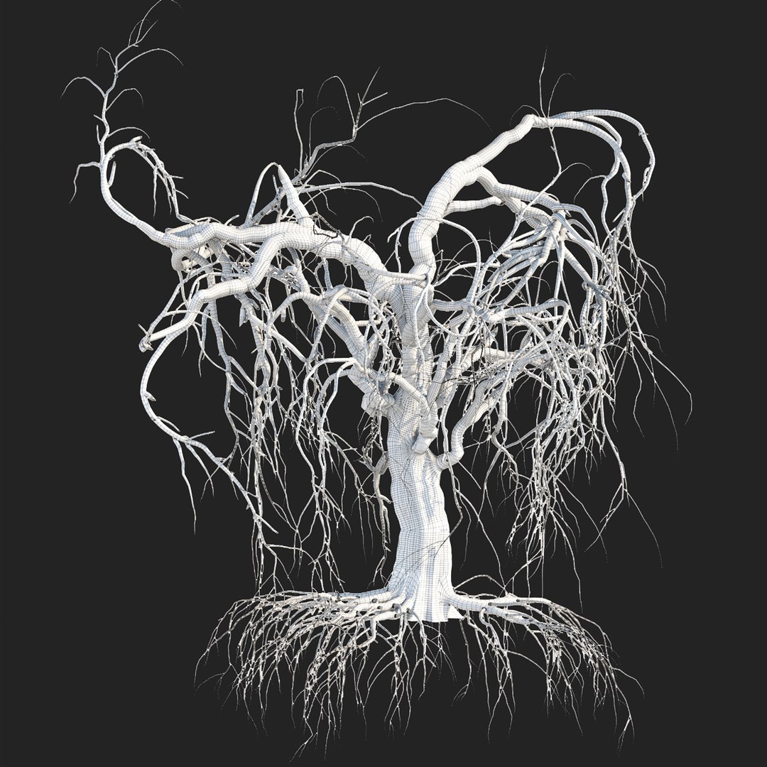 Dead weeping tree vol 188 3D https://p.turbosquid.com/ts-thumb/Fw/XLsmxd/JI/6/jpg/1677059814/1920x1080/fit_q87/f7fc9d899a065b4126abb06aafe22eb1756fa504/6.jpg
