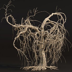 Dead weeping tree vol 188 3D