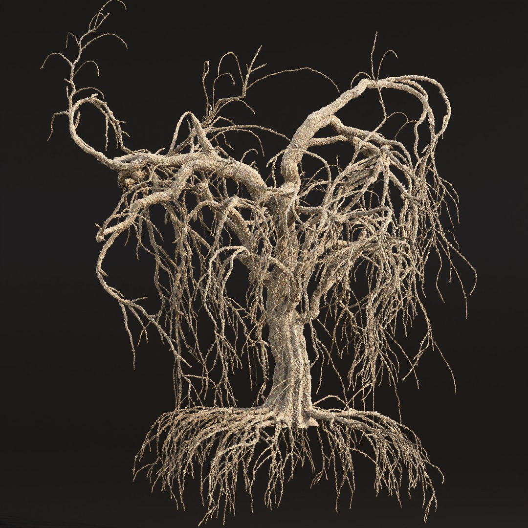 Dead weeping tree vol 188 3D https://p.turbosquid.com/ts-thumb/Fw/XLsmxd/rk/2/jpg/1677059802/1920x1080/fit_q87/6f338e8d165e089105044535a996ae66a89271e1/2.jpg