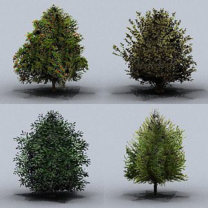 trees small 01