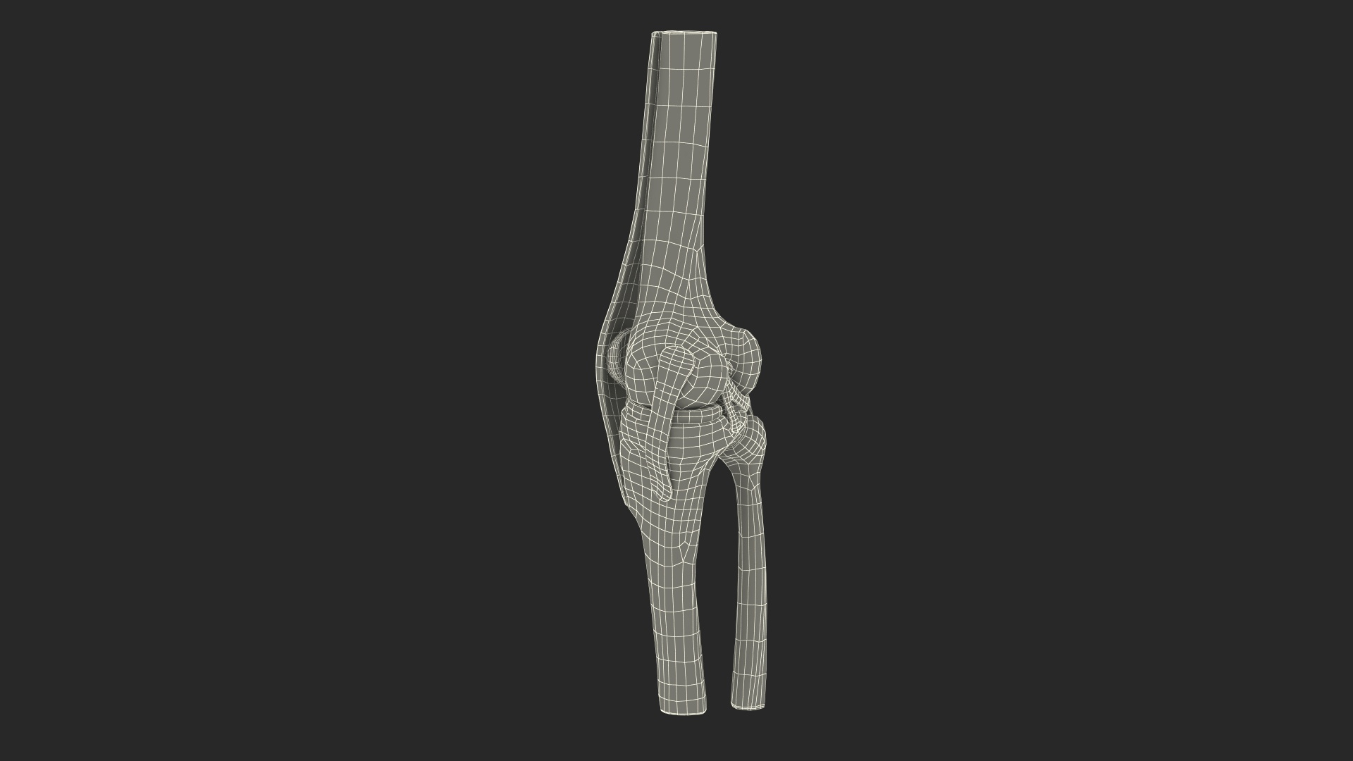 Knee Joint Model Rigged for Cinema 4D 3D model https://p.turbosquid.com/ts-thumb/Fw/mn6g8y/Hh/knee_joint_model_rigged_361/jpg/1720768730/1920x1080/turn_fit_q99/ea8191ff97ba34d641993ad4e098d6f71151104d/knee_joint_model_rigged_361-1.jpg