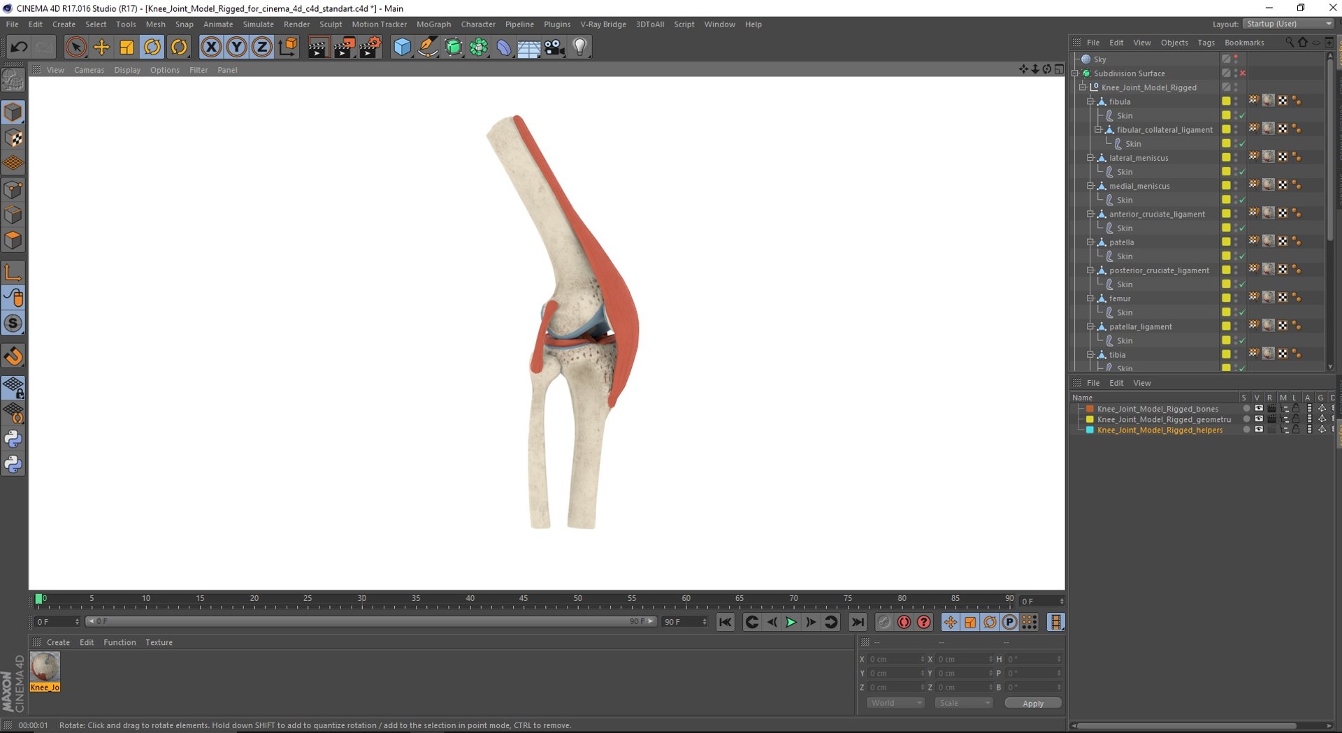Knee Joint Model Rigged for Cinema 4D 3D model https://p.turbosquid.com/ts-thumb/Fw/mn6g8y/dm/knee_joint_model_rigged_for_cinema_4d_1005/jpg/1720768692/1920x1080/fit_q87/5870ae733f1ca7e5d16a21b1fc011cac994906a2/knee_joint_model_rigged_for_cinema_4d_1005.jpg