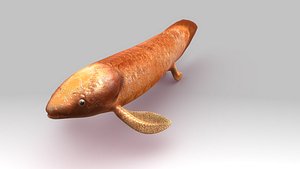 3d lungfish neoceratodus forsteri