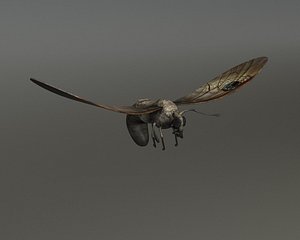 Insect - Moth - rigged