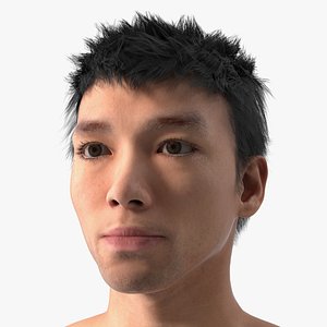 Head of Asian Male