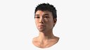 Head of Asian Male