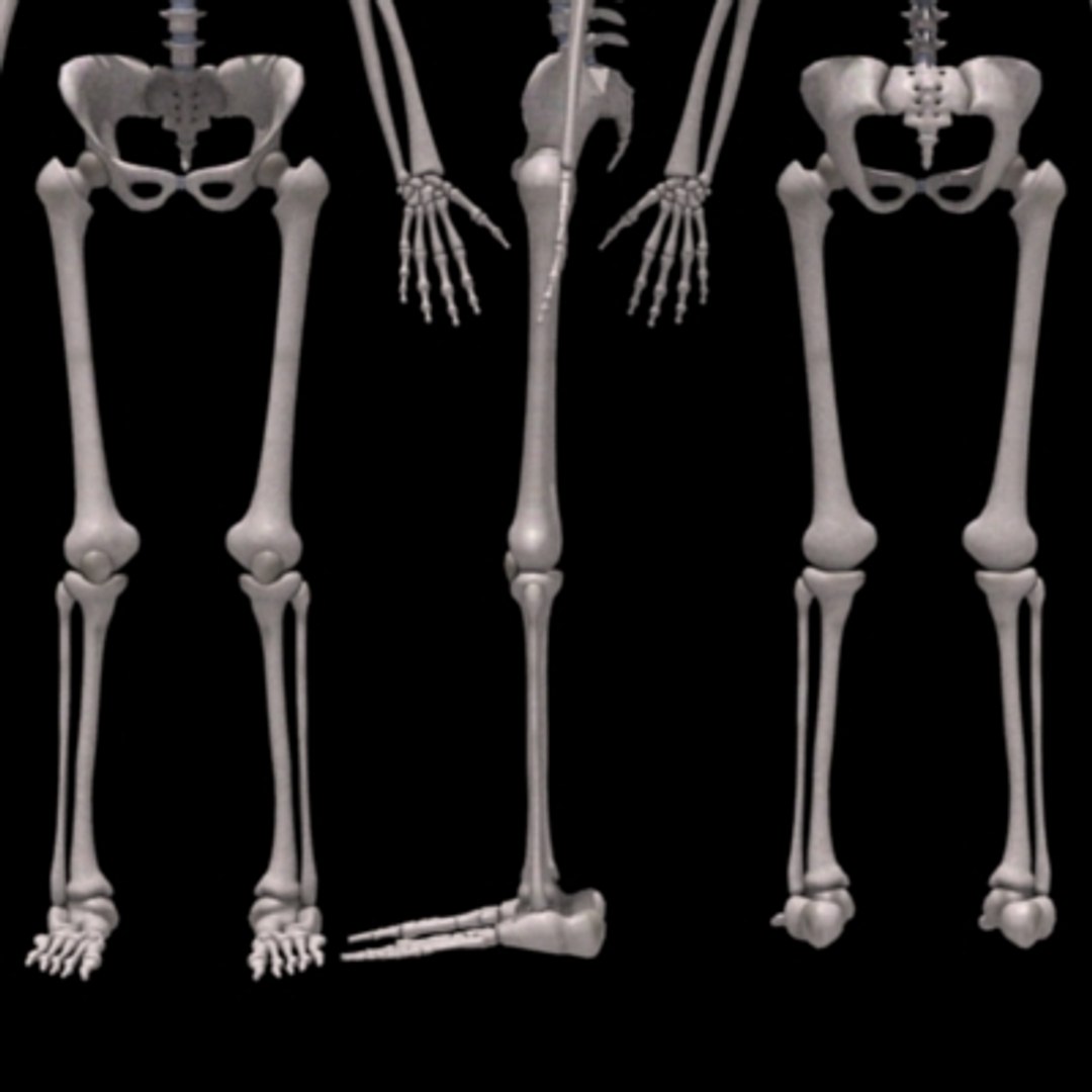 skeleton transformation 3d max