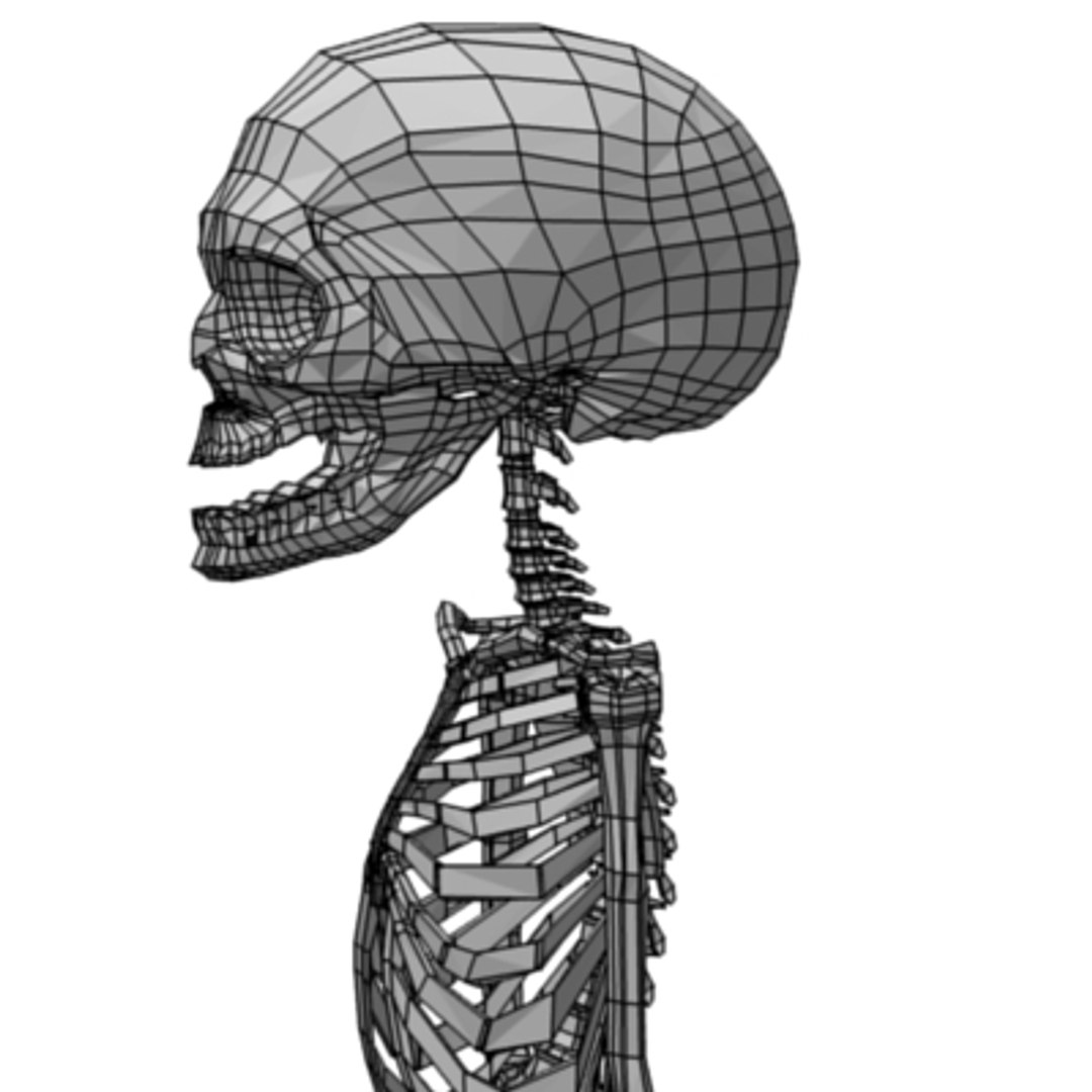 skeleton transformation 3d max