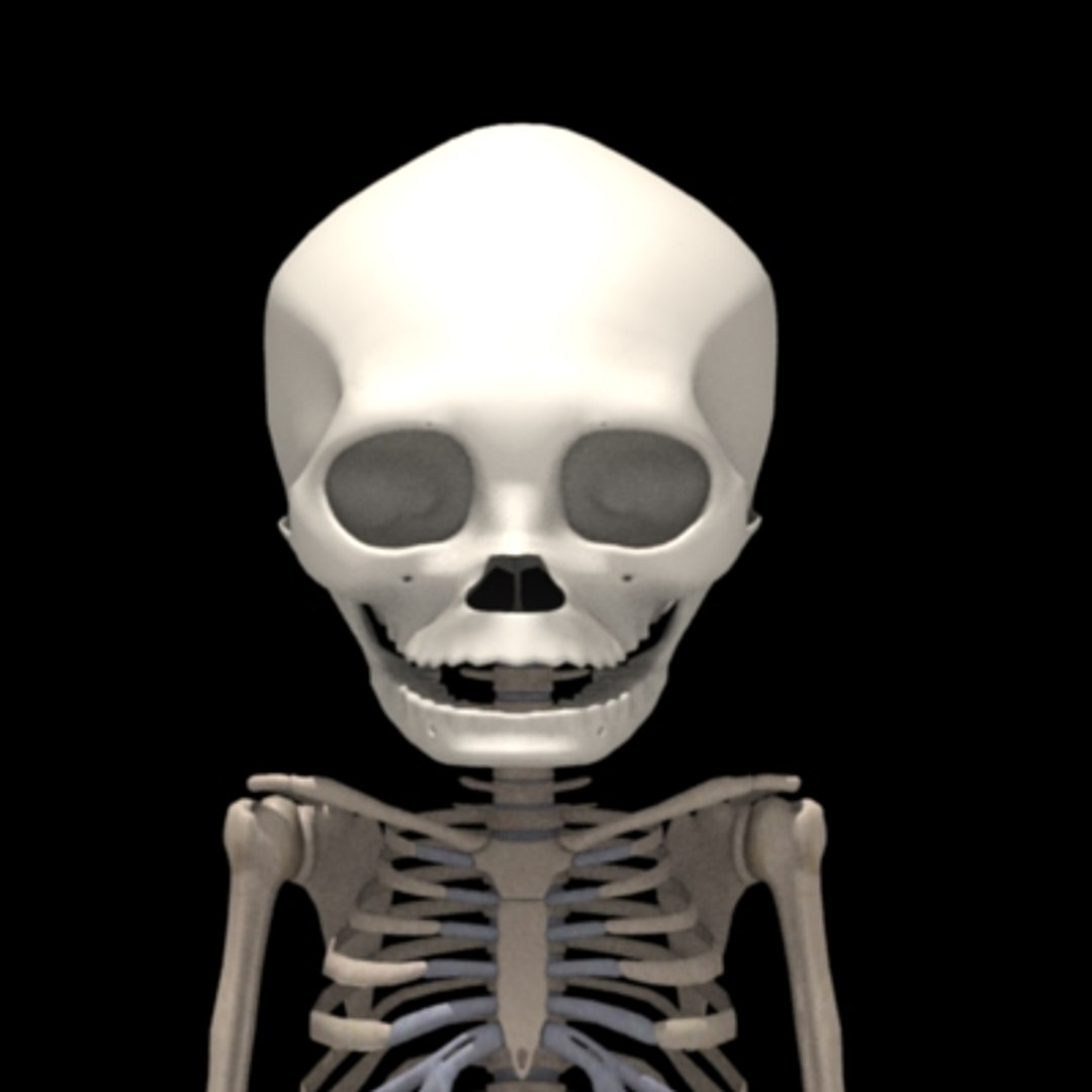 skeleton transformation 3d max