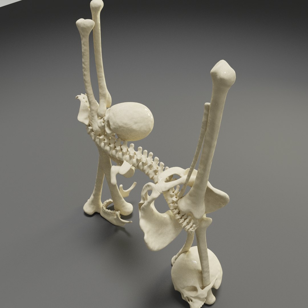 Letter Bones Skeleton 3D - TurboSquid 1546194