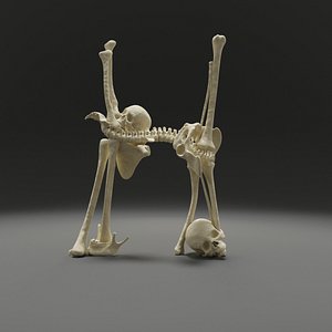 3D letter d bones skeleton - TurboSquid 1543322