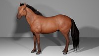 Horse Low-poly