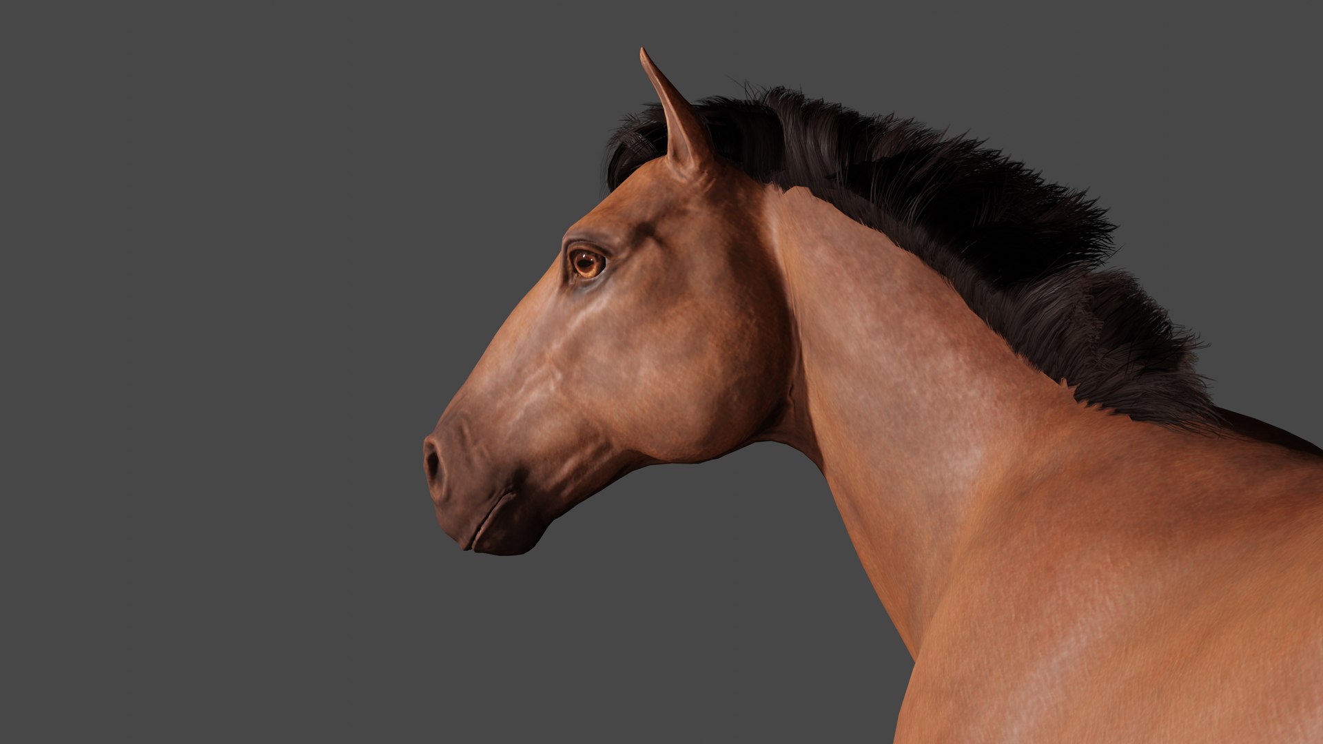 3D Horse Low-poly model https://p.turbosquid.com/ts-thumb/Fx/6DwNgI/cO/untitlehor12/png/1668526285/1920x1080/fit_q87/bdba34c779c213984e72712f5682410e1f93a5e2/untitlehor12.jpg