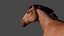 Horse Low-poly