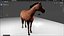 Horse Low-poly