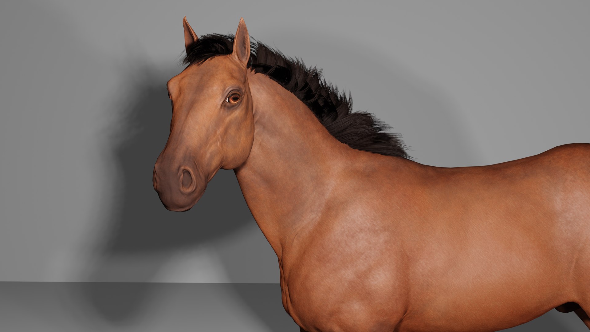 3D Horse Low-poly model https://p.turbosquid.com/ts-thumb/Fx/6DwNgI/vt/untitledhor1/png/1668526232/1920x1080/fit_q87/124c086fdb60c53806e38f886ca4947ddebf24e4/untitledhor1.jpg