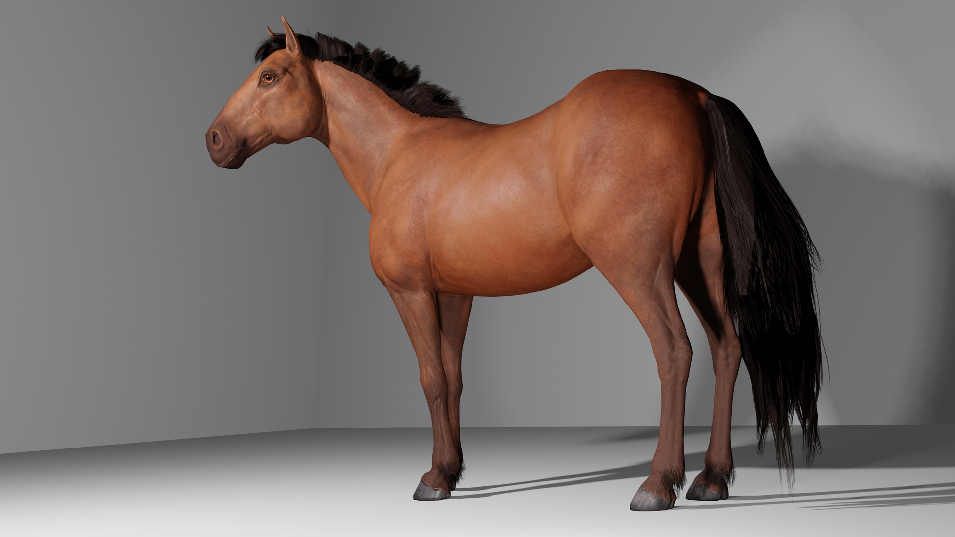 3D Horse Low-poly model https://p.turbosquid.com/ts-thumb/Fx/6DwNgI/yr/untithor12/png/1668526215/1920x1080/fit_q87/55141c143017bd75fa004e23824fc2e21dd2c9d2/untithor12.jpg