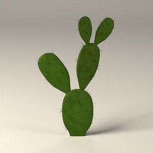 cactus 3d model