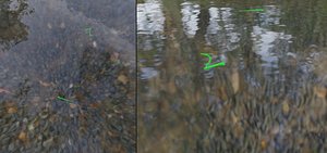 3D water snakes