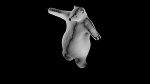 3D polar bear